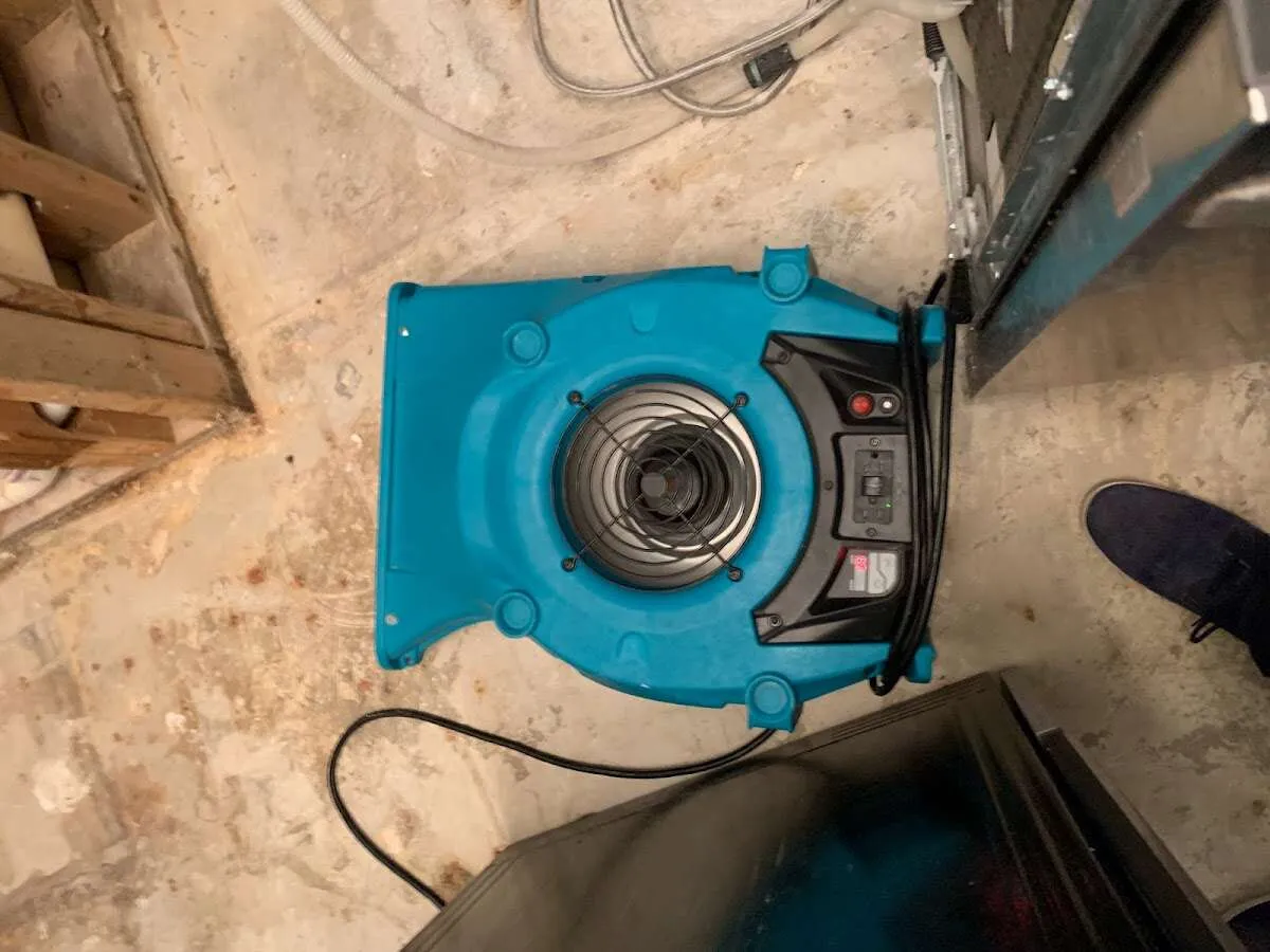 Air mover drying equipment for Mold Remediation & Removal in Wake Forest